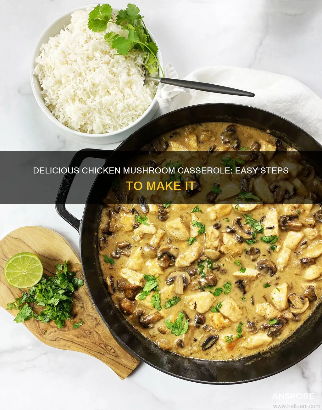 how to chicken mushroom casserole