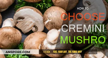 Picking the Perfect Cremini Mushrooms: A Guide