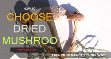 Selecting the Best Dried Mushrooms: A Guide