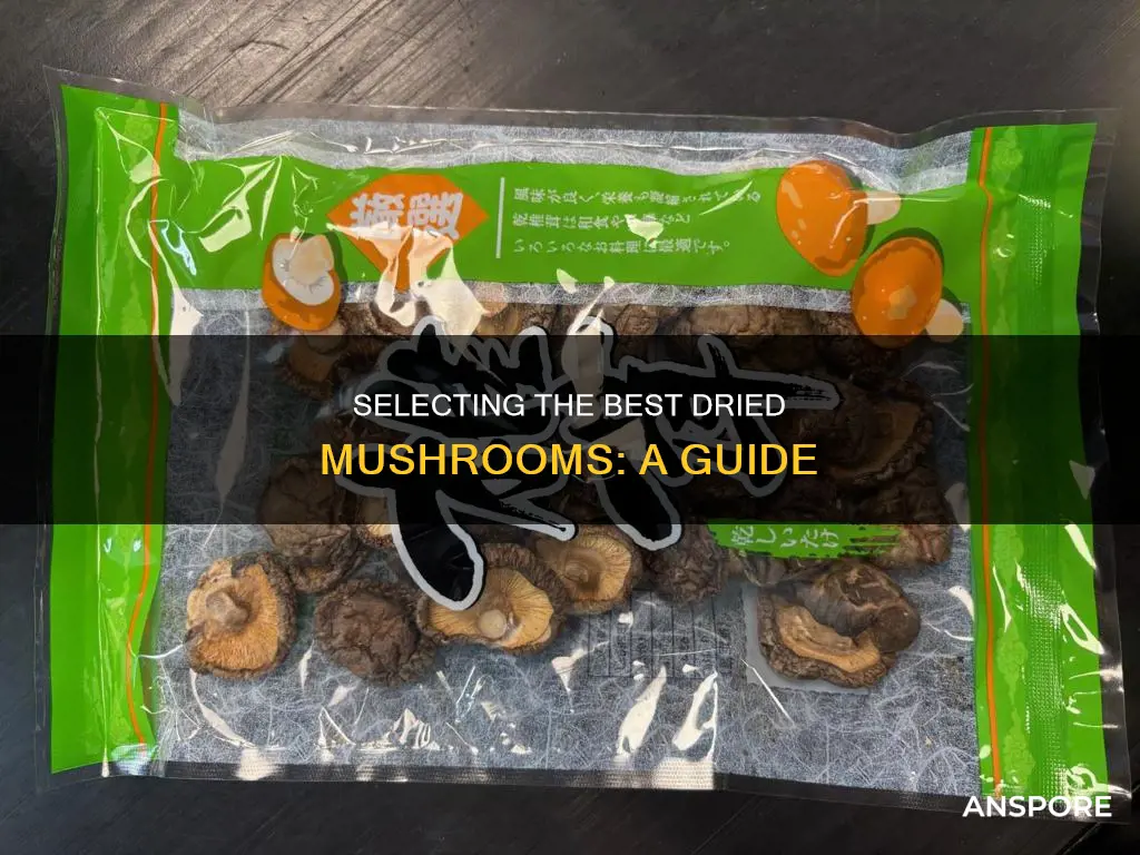 how to choose dried mushrooms