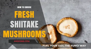 Selecting Shiitake: Tips for Picking Fresh Mushrooms