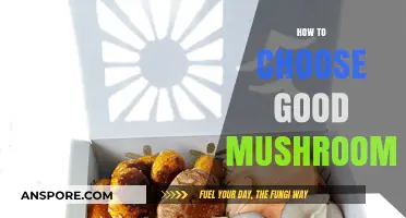 Selecting Perfect Mushrooms: A Guide to Freshness, Flavor, and Quality