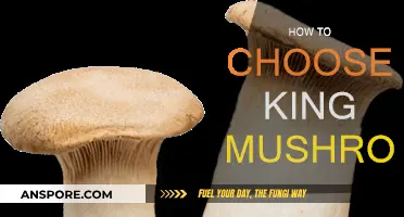 King Mushrooms: Picking the Best of the Best
