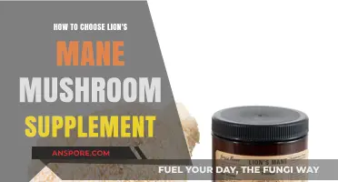 Lion's Mane Mushroom Supplements: What to Consider