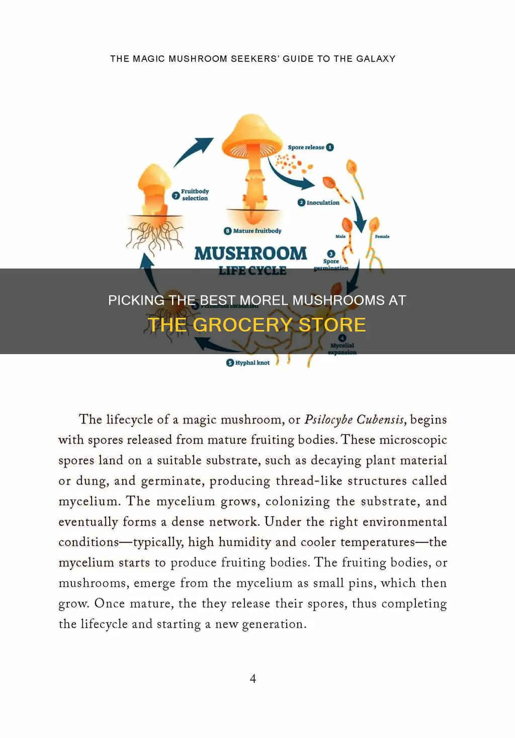 how to choose mrel mushrooms grocery