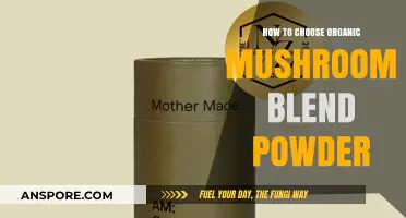 Choose the Best Organic Mushroom Blend Powder