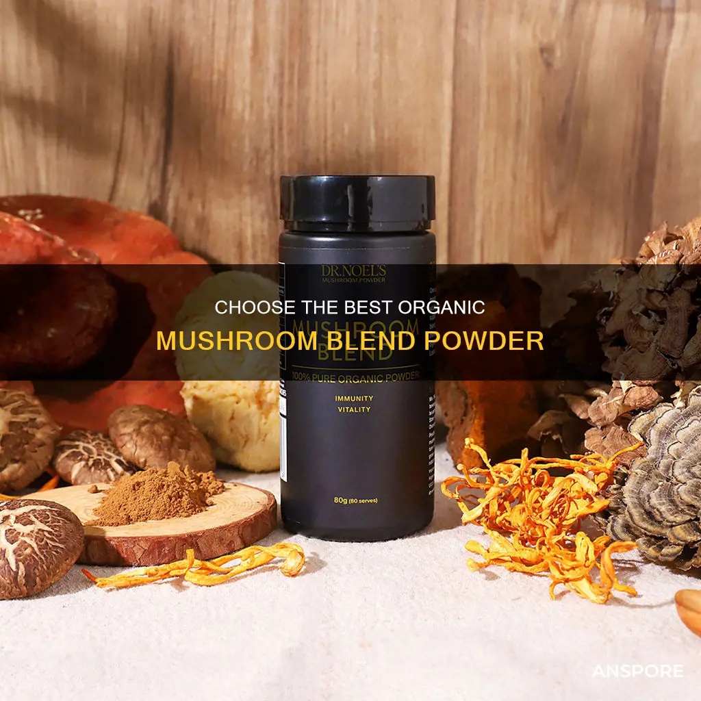 how to choose organic mushroom blend powder