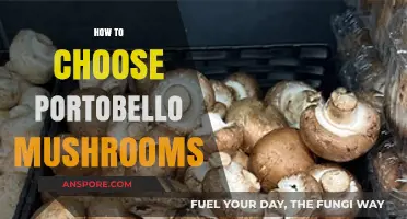 Selecting Perfect Portobello Mushrooms: A Guide to Size, Texture, and Freshness