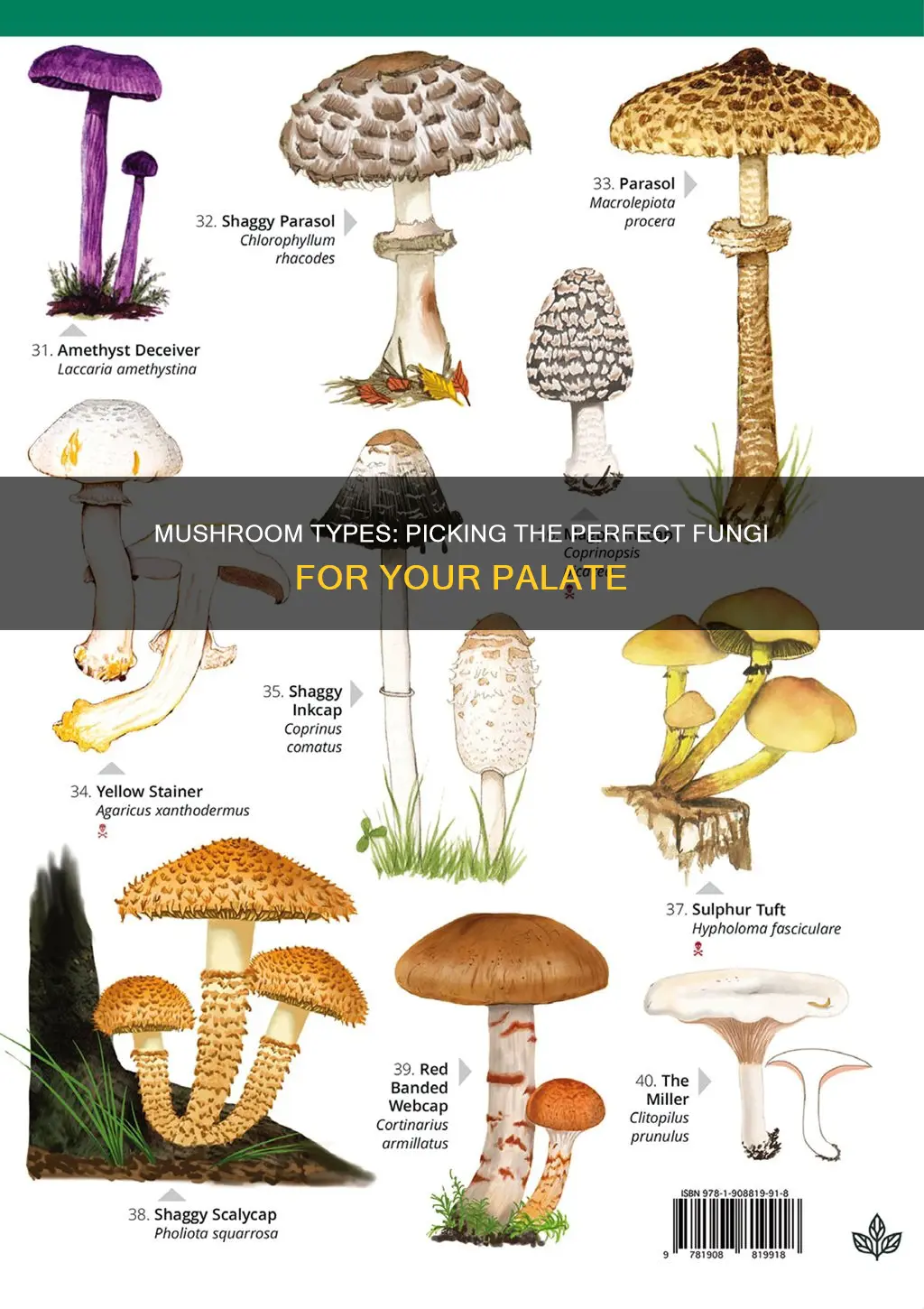 how to choose type of mushrooms