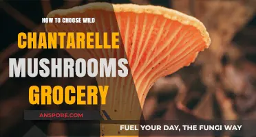 Selecting Wild Chantarelles: A Grocery Guide