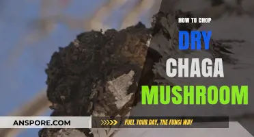 Chopping Dry Chaga Mushrooms: The Ultimate Guide