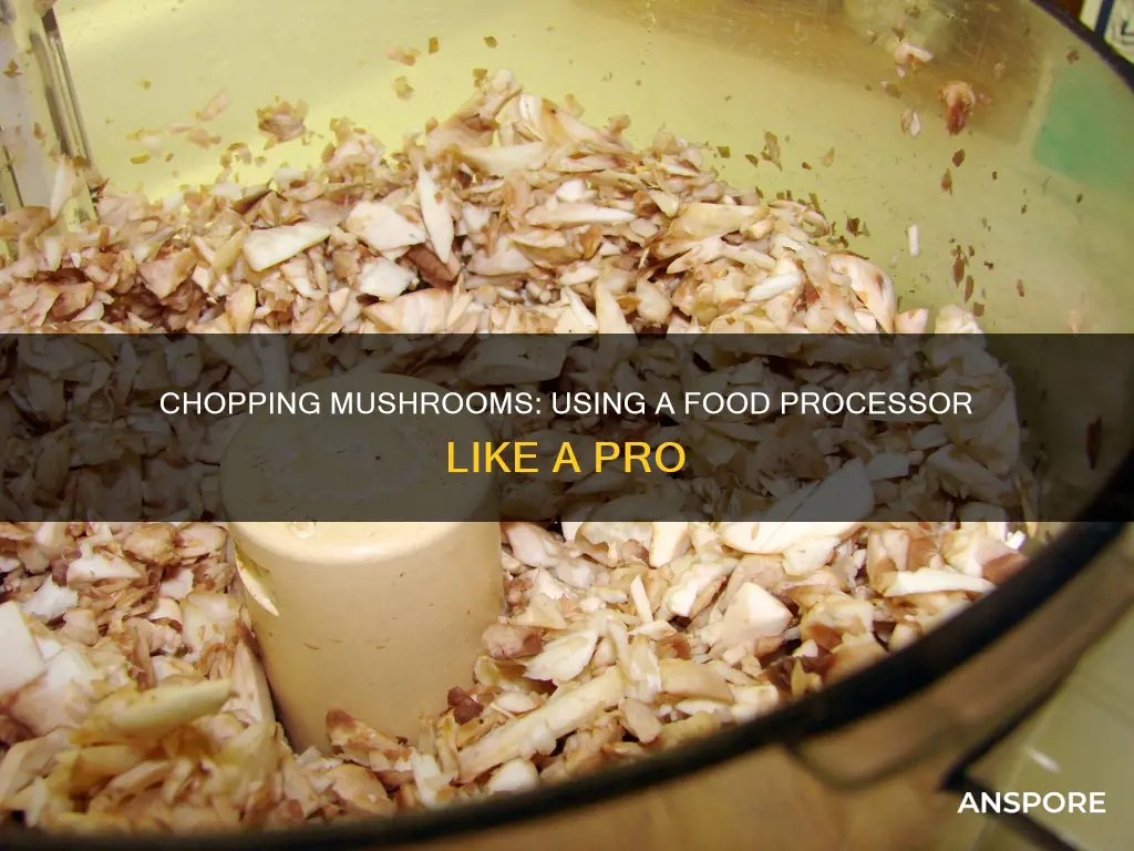 how to chop mushrooms in a food processor