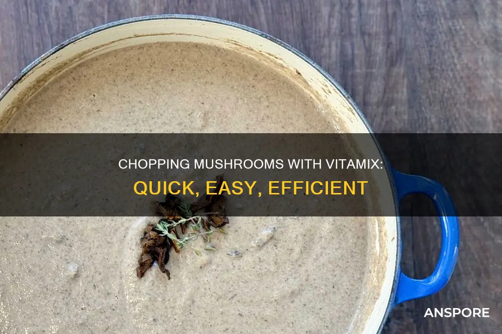 how to chop mushrooms in vitamix