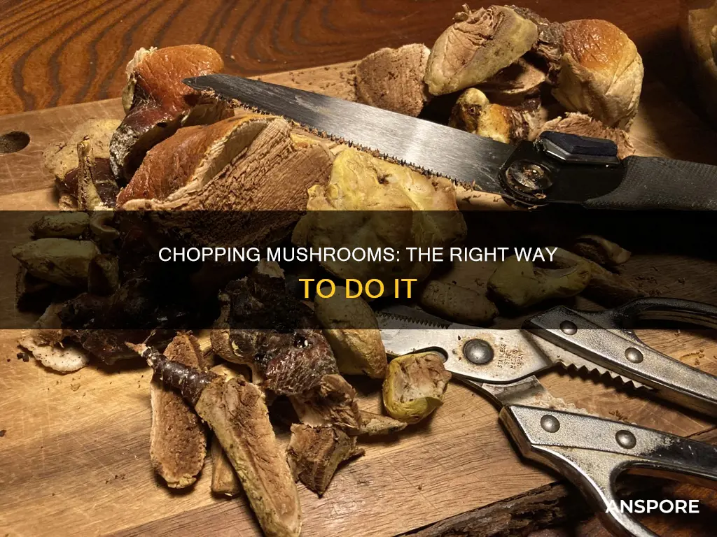 how to chop mushrooms