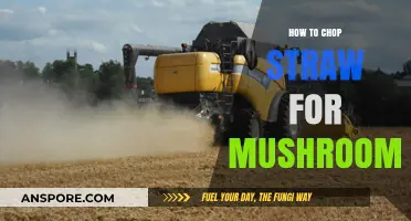The Ultimate Guide to Chopping Straw for Mushrooms