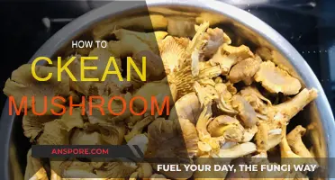 The Ultimate Guide to Cleaning Mushrooms