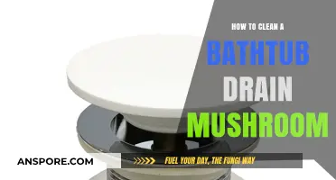 Unclogging the Bathtub: Cleaning a Drain Mushroom
