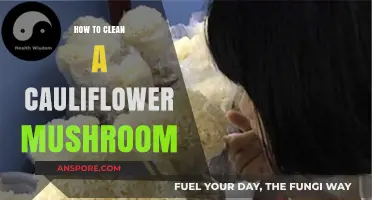 Cleaning Cauliflower Mushrooms: A Step-by-Step Guide