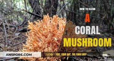 Cleaning Coral Mushrooms: A Step-by-Step Guide