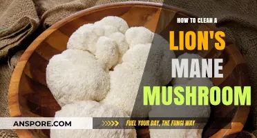 Cleaning Lion's Mane Mushrooms: A Step-by-Step Guide