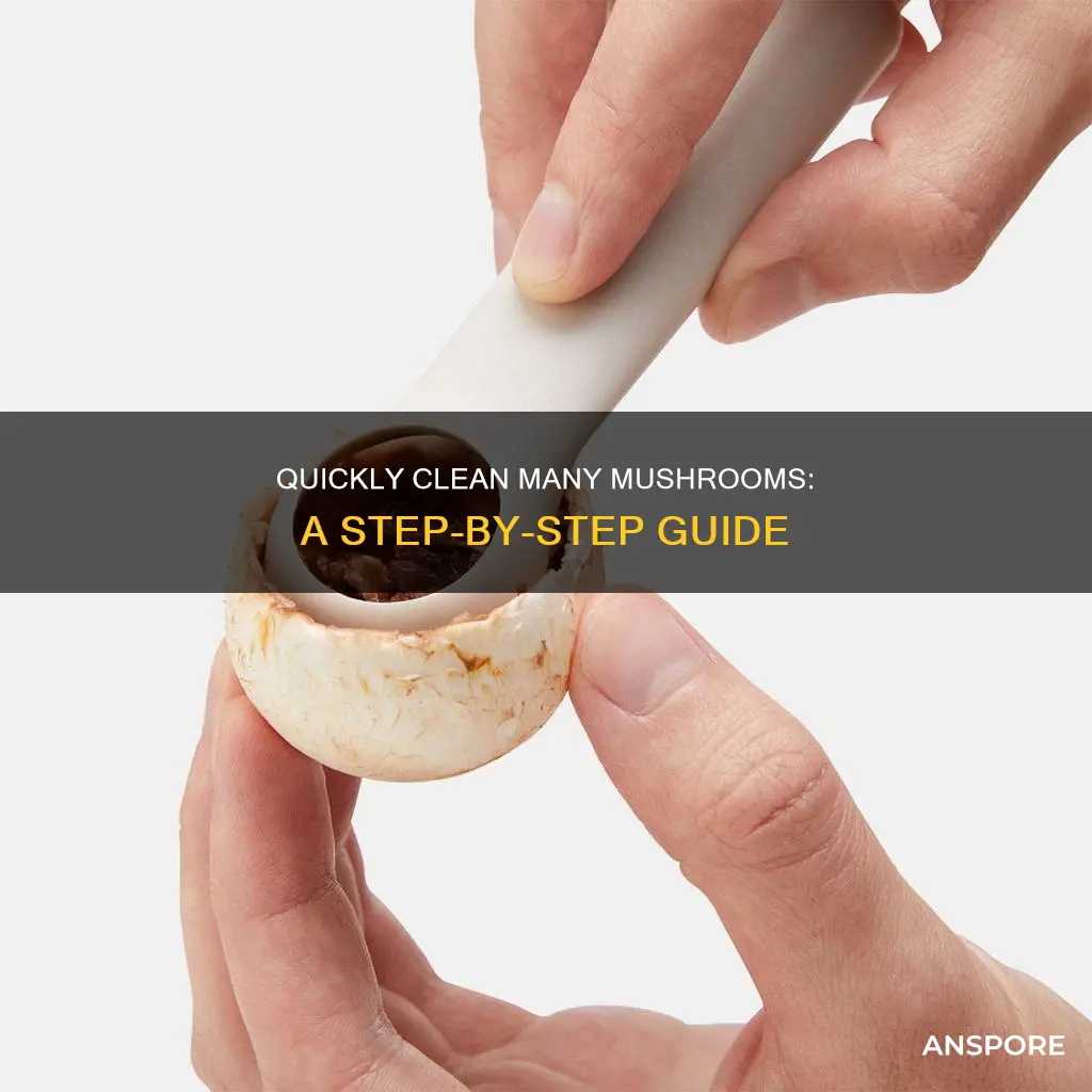 how to clean a lot of mushrooms