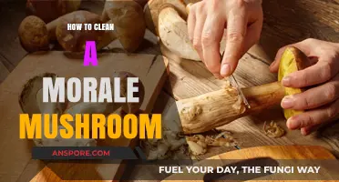 The Ultimate Guide: Cleaning a Morale Mushroom