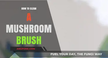 The Best Way to Clean Your Mushroom Brush