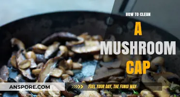 Cleaning Mushroom Caps: Easy Steps for Delicious Results