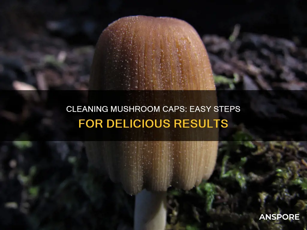 how to clean a mushroom cap