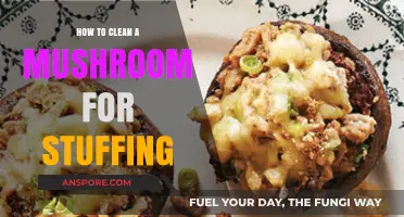 Cleaning Mushrooms for Stuffing: A Step-by-Step Guide