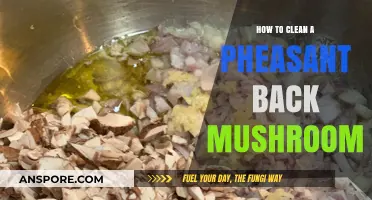 Cleaning Pheasant Back Mushrooms: A Step-by-Step Guide