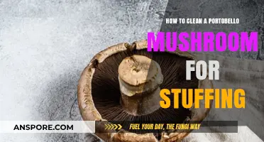 Mastering Portobello Prep: Easy Steps to Clean Mushrooms for Stuffing