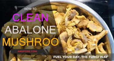 Cleaning Abalone Mushrooms: A Step-by-Step Guide