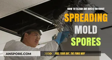 Effective Air Duct Cleaning: Preventing Mold Spores from Spreading