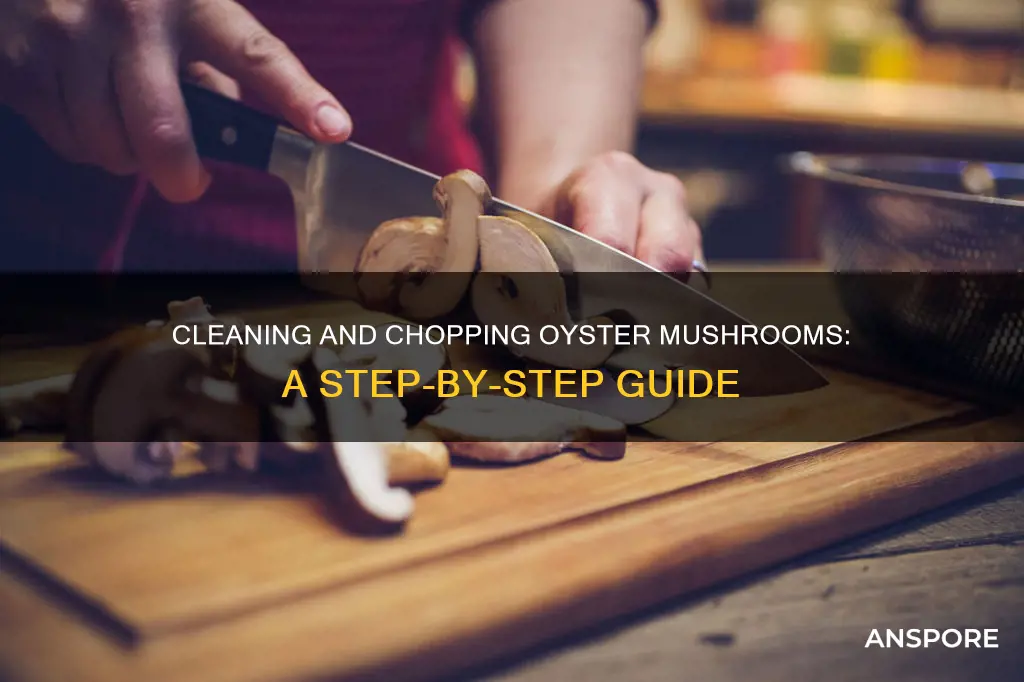 how to clean and chop oyster mushrooms