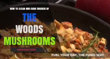 Mastering Chicken of the Woods: Cleaning and Cooking Tips for Delicious Meals