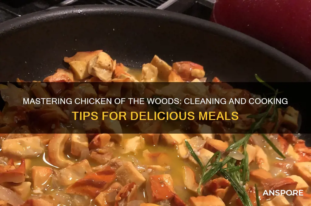 how to clean and cook chicken of the woods mushrooms