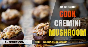 Mastering Cremini Mushrooms: Easy Cleaning and Cooking Techniques Revealed