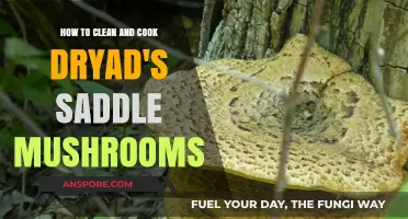 Mastering Dryad's Saddle: Cleaning and Cooking Tips for Perfect Mushrooms