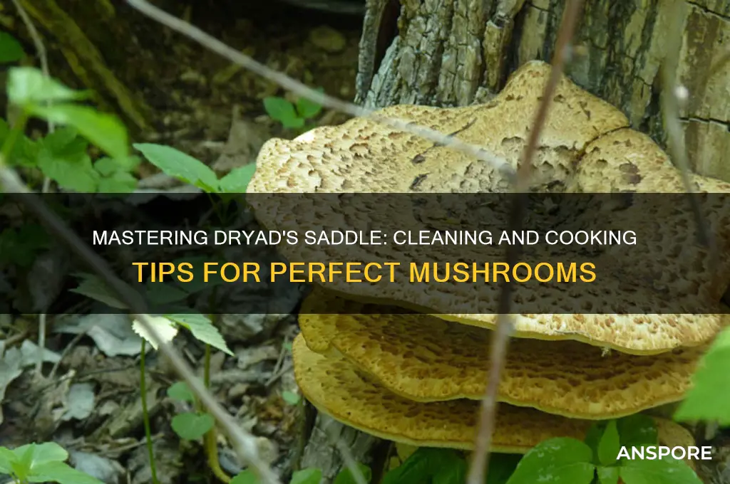 how to clean and cook dryad
