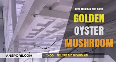 Mastering Golden Oyster Mushrooms: Cleaning and Cooking Techniques Revealed