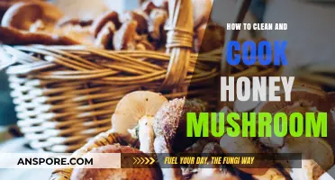 Mastering Honey Mushrooms: Cleaning and Cooking Tips for Perfect Dishes