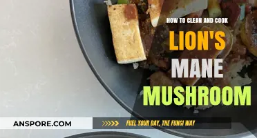Mastering Lion's Mane: Cleaning and Cooking Tips for Delicious Results