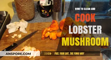 Mastering Lobster Mushrooms: Cleaning and Cooking Tips for Perfect Dishes
