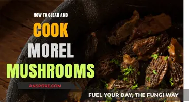 Mastering Morel Mushrooms: Cleaning and Cooking Tips for Perfect Dishes