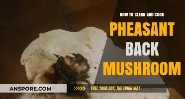 Mastering Pheasant Back Mushrooms: Cleaning and Cooking Techniques Revealed