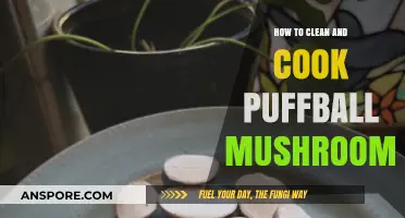 Mastering Puffball Mushrooms: Cleaning and Cooking Tips for Delicious Meals
