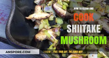 Mastering Shiitake: Easy Cleaning and Cooking Techniques for Delicious Meals