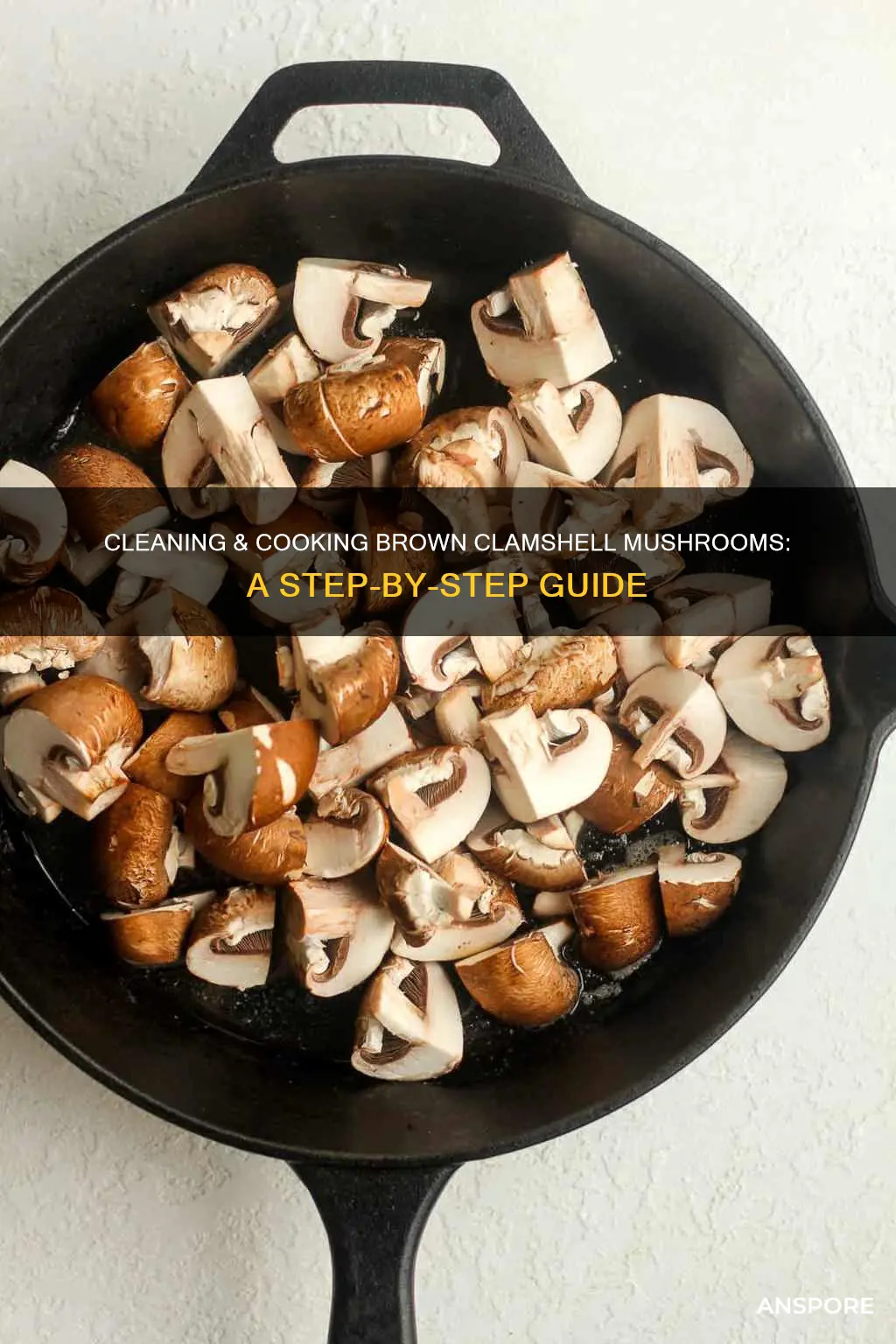 how to clean and cookbrown clamshell mushroom