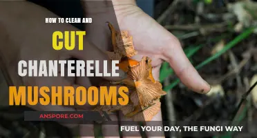 Cleaning and Cutting Chanterelles: A Step-by-Step Guide